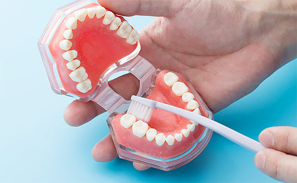 予防歯科イメージ